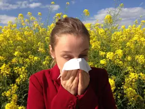 Alergie Léčba